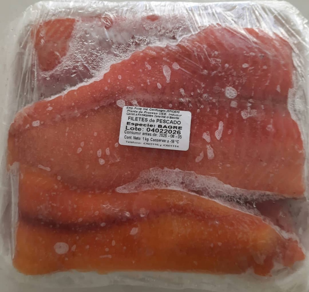 Filete de bagre congelado ( Envase 1 kg)