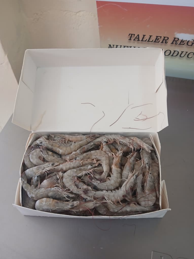 Camarón cajas de 2 kg 